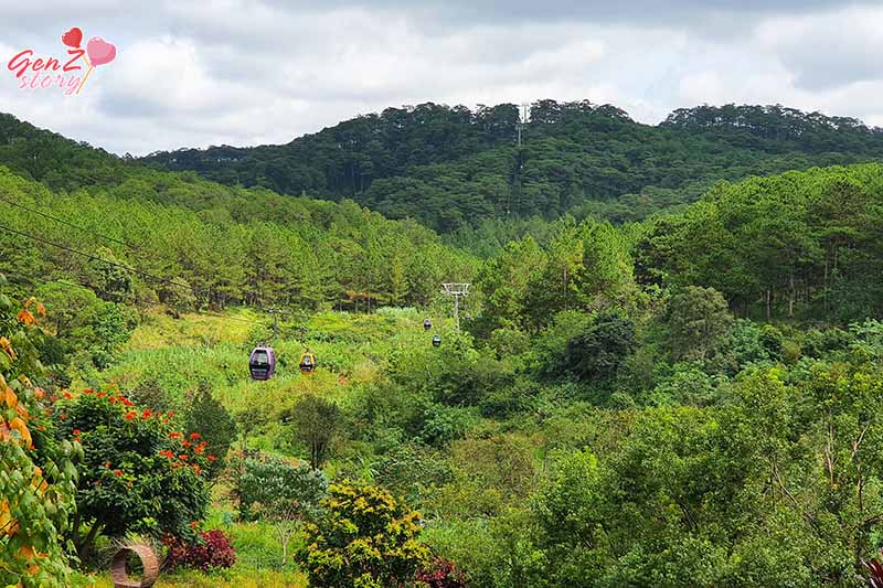 Khu Du Lịch Cáp Treo Đồi Robin 